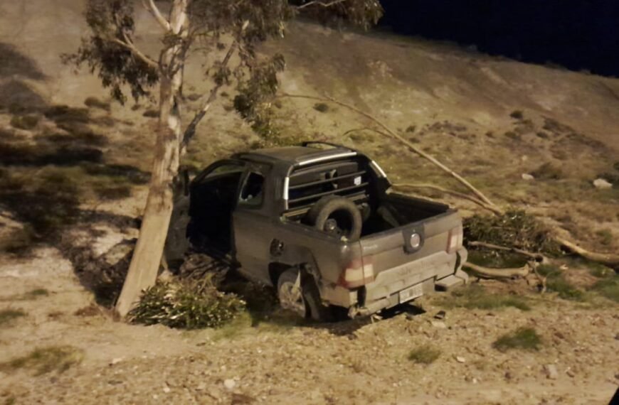 Por esquivar un perro terminó contra un árbol