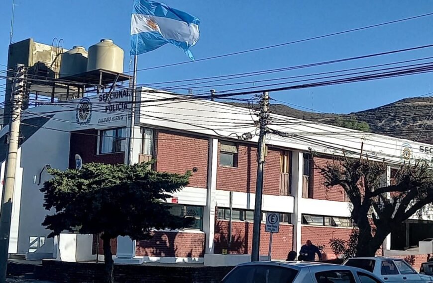 Detuvieron a una mujer por intentar escapar con…