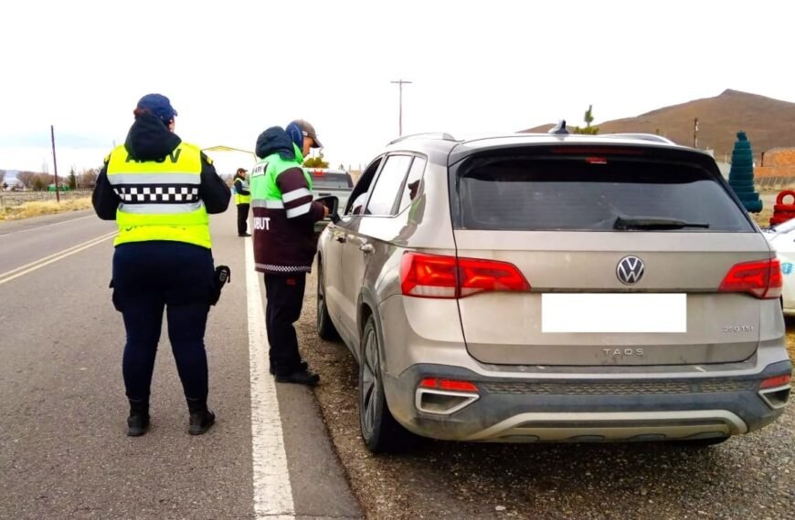 Se controlaron más de 13.000 vehículos y detectaron…