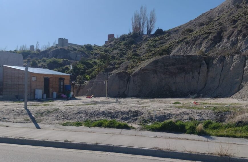 Les entregaron un terreno, se lo usurparon y nadie les da respuestas
