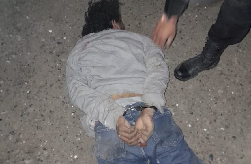 Robó una batería de auto y un vecino…