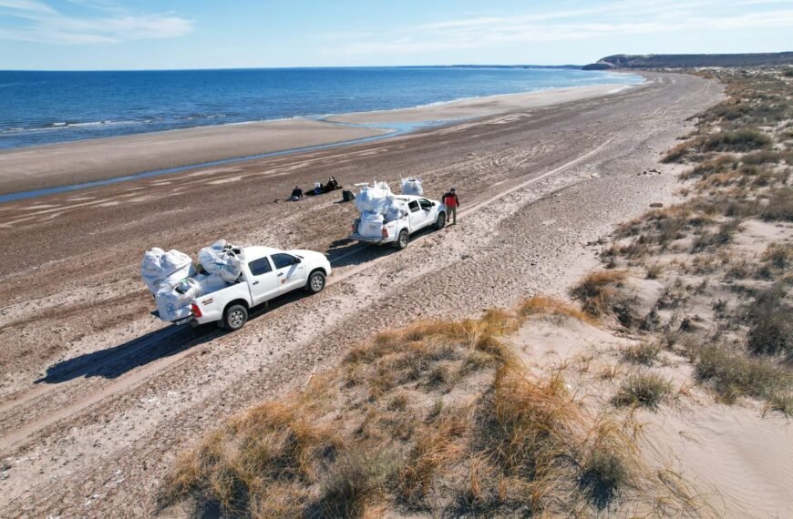 Continúan con tareas de limpieza de playas
