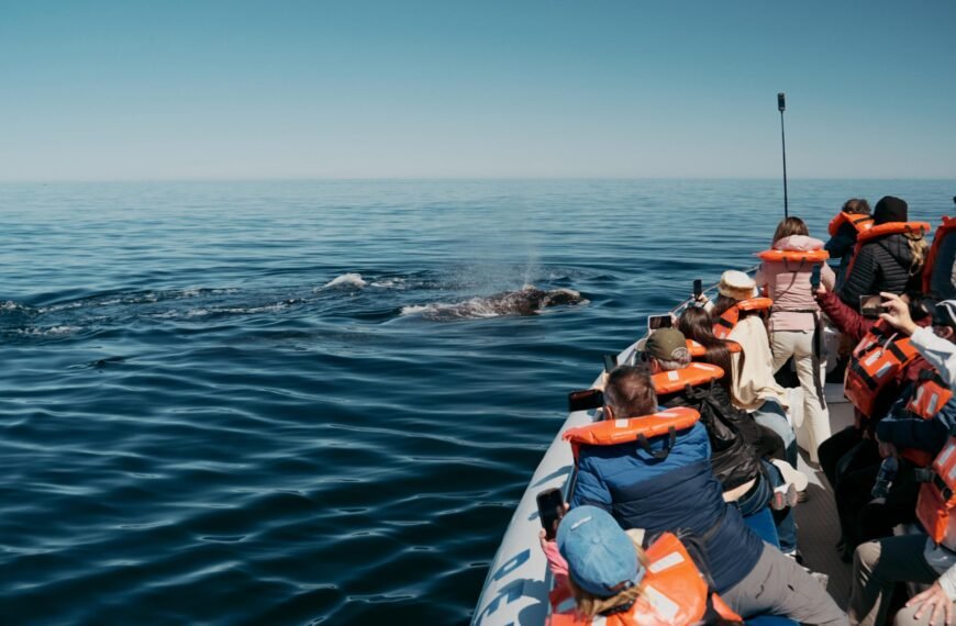 Por el Feriado de la Diversidad Cultural, viajaron 1,4 millones de turistas y gastaron $228.479 millones