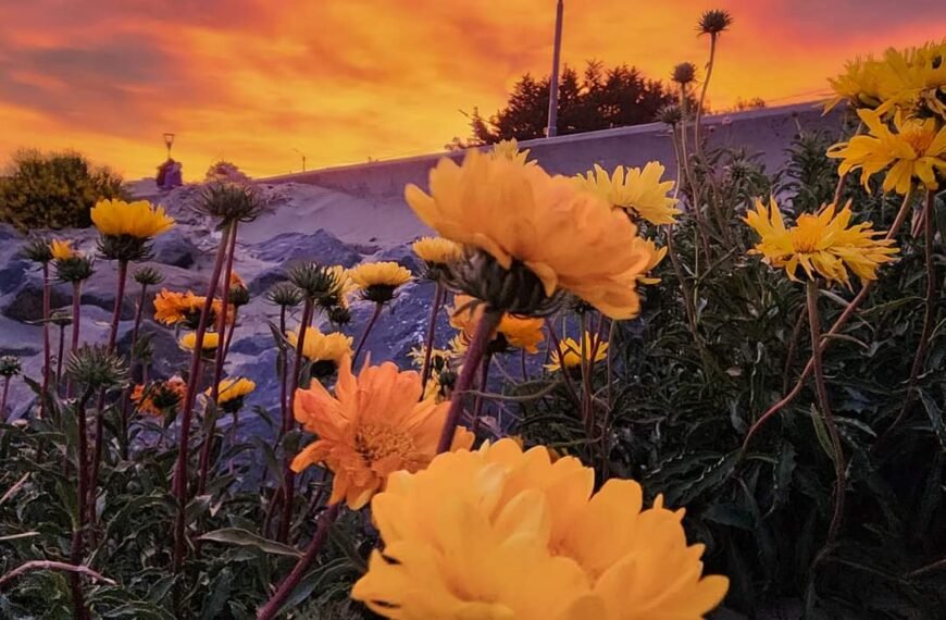 ¿Cómo estará el tiempo este último día de octubre en Comodoro?