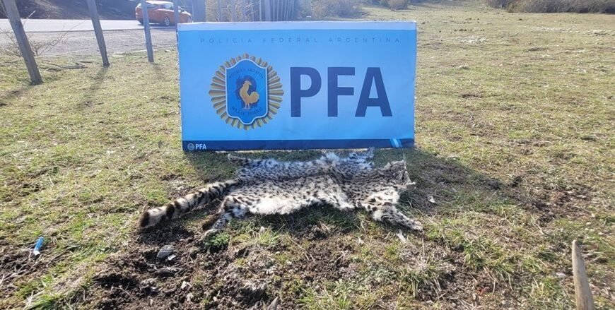 Policía Federal realizó operativos de saturación en rutas,&hellip;