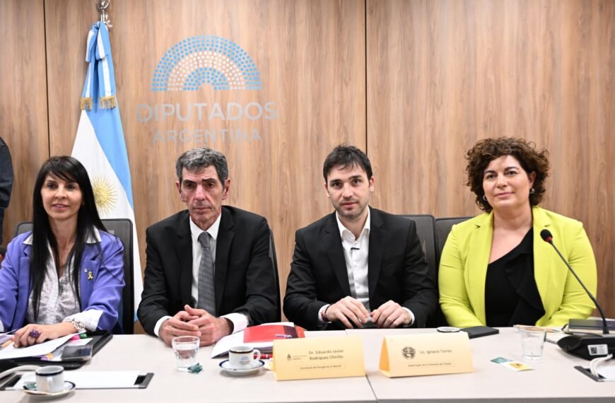 Torres defendió en Diputados el proyecto que apunta&hellip;