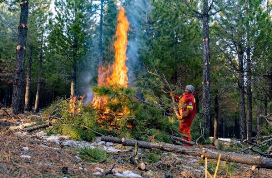 Chubut prohíbe la quema de residuos vegetales ante&hellip;