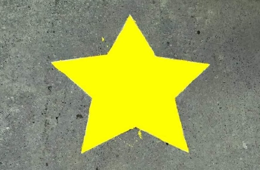 Colocación de Estrella Amarilla en homenaje a Stefanis Karina Leviante