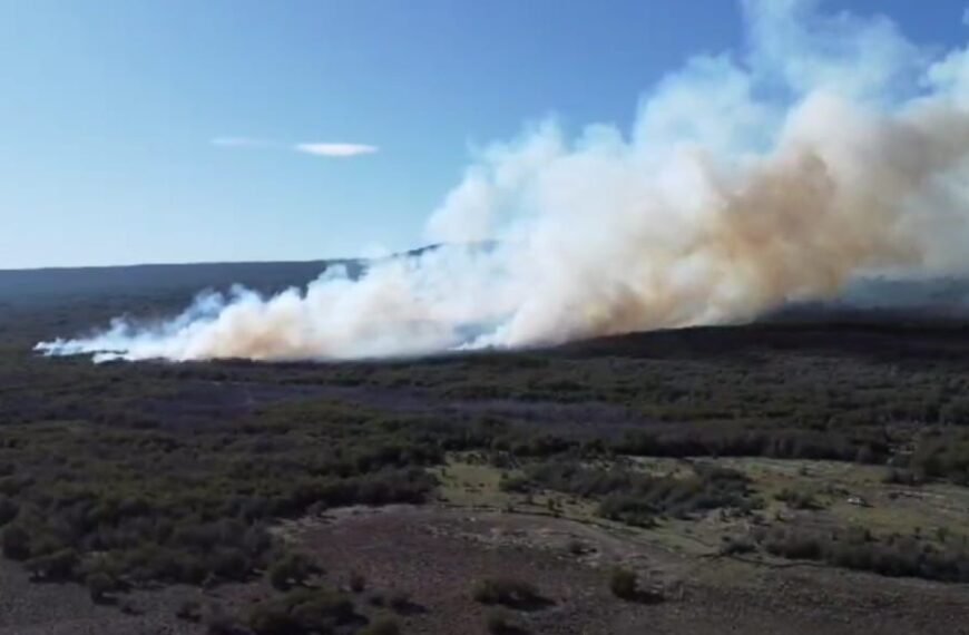 Implementan operativo de emergencia para controlar incendio forestal en Río Pico