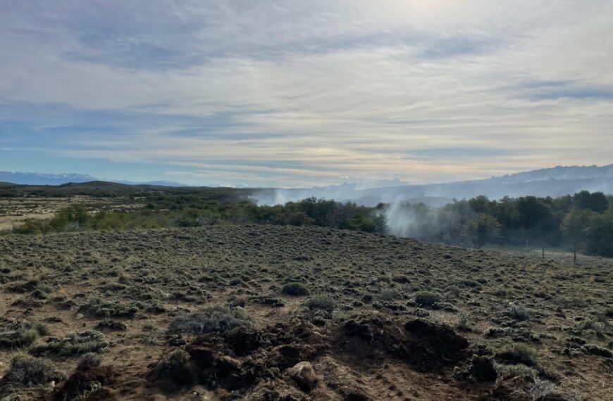 El Gobierno Provincial despliega operativo para contener incendio forestal en Río Pico