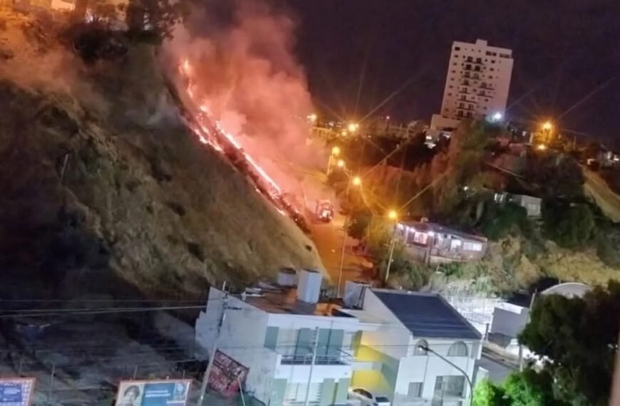 Incendio de pastizales movilizó a vecinos y bomberos