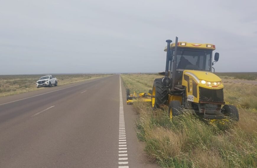 Vialidad Nacional trabaja desmalezando las banquinas del tramo Madryn-Arroyo Verde de la ruta nacional 3