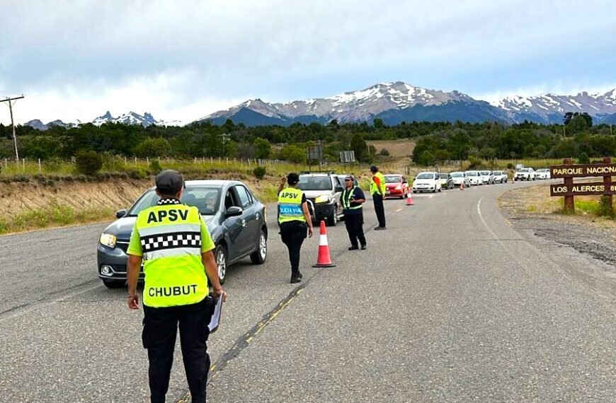 Plan «Verano Seguro»: Controlaron más de 11.500 vehículos y detectaron a 84 conductores alcoholizados