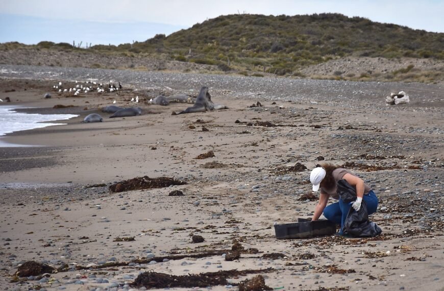 Chubut recolectó más de 100 kilos de residuos en playas Santa Isabel e Isla Escondida