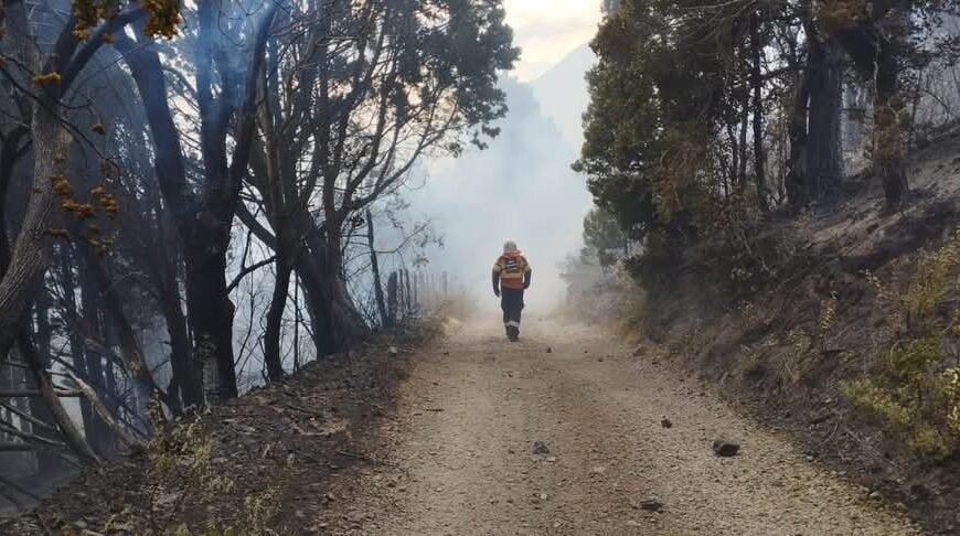 El fuego ya consumió más de 3000 hectáreas