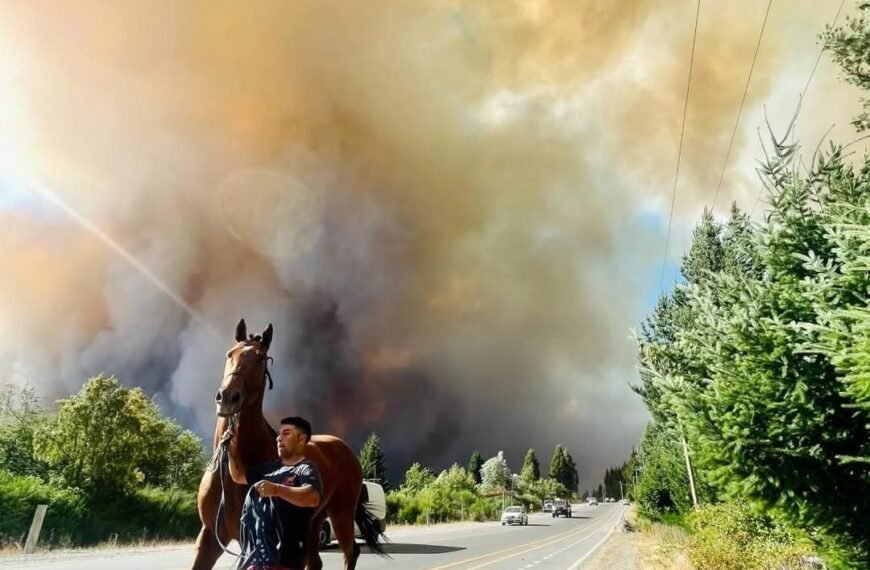 Vialidad Nacional cortará de forma total la ruta 40 por los incendios