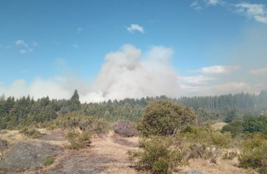 Siguen los trabajos para controlar el incendio en la zona de Los Cipreses