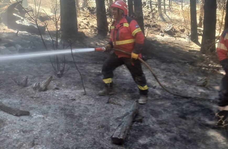 El incendio en la zona de Los Cipreses está circunscripto