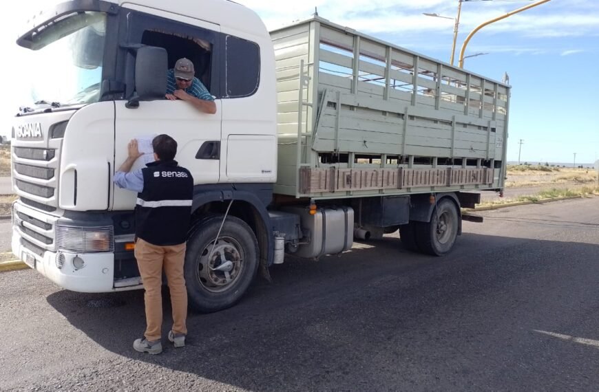 Creció un 170% el control en ruta a transportes de animales vivos y alimentos