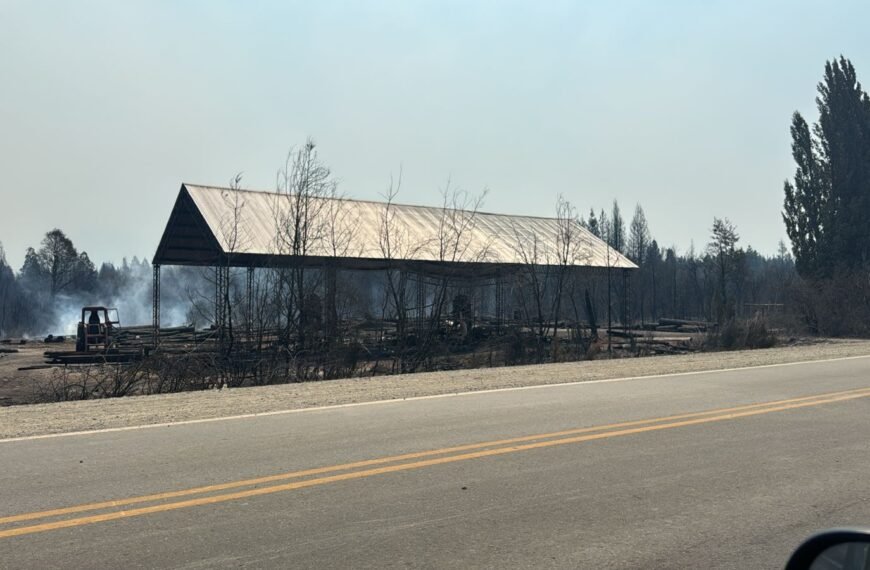 Una persona falleció en los incendios de Mallín Ahogado