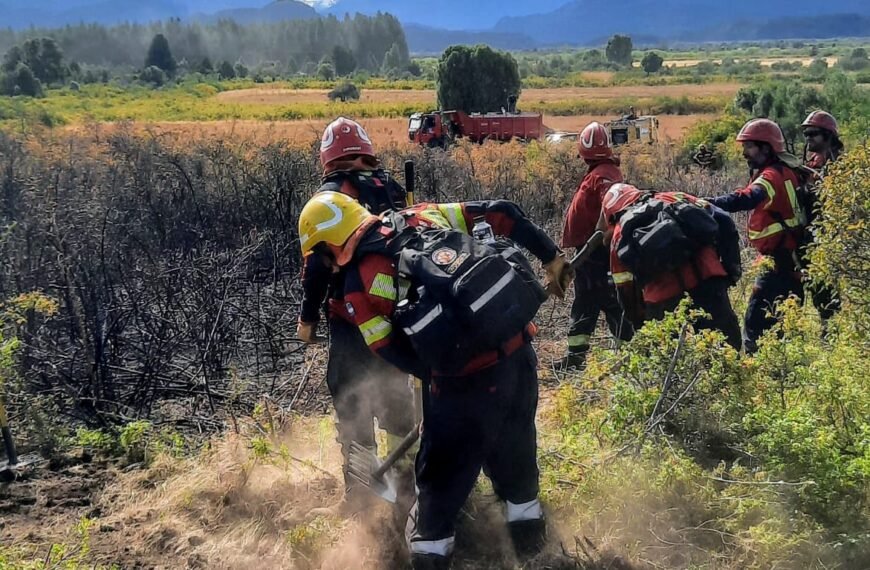 Luego de un rápido accionar, se logró circunscribir incendio en la zona de Los Cipreses