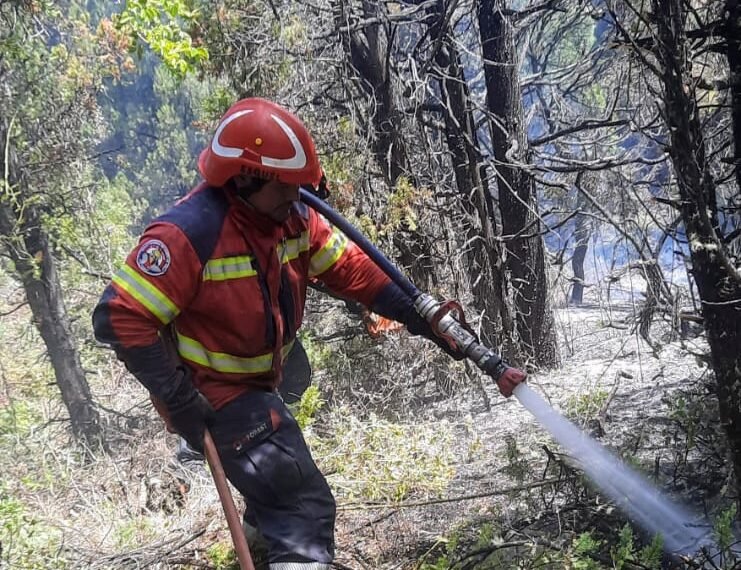 En un rápido despliegue, se controló el incendio forestal en la zona de Los Cipreses