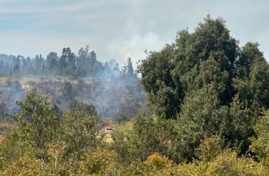 Tras un fuerte operativo se logró extinguir el incendio forestal en la zona de Los Cipreses