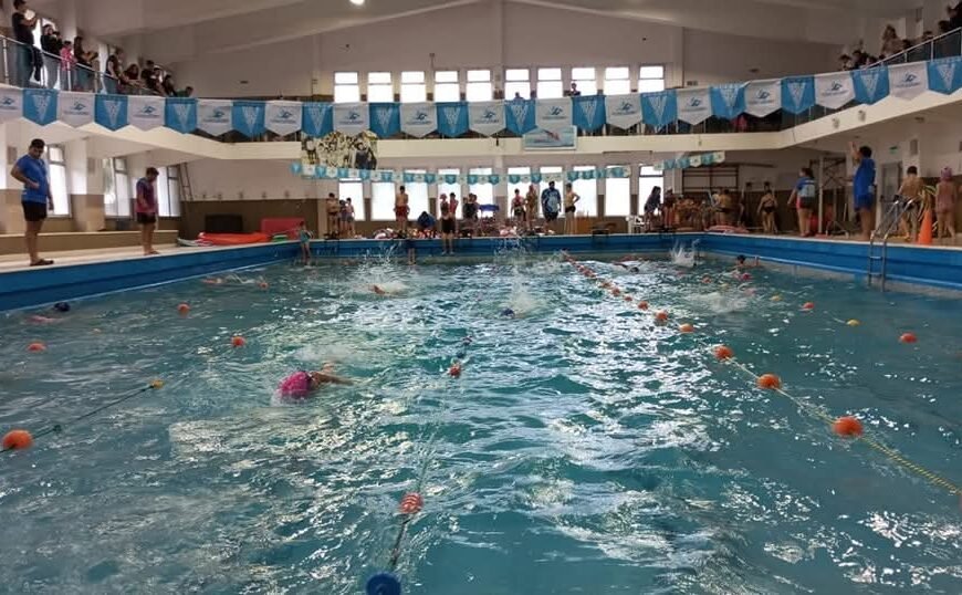Denuncian que en la pileta del Club Huergo hay chinches y cucarachas