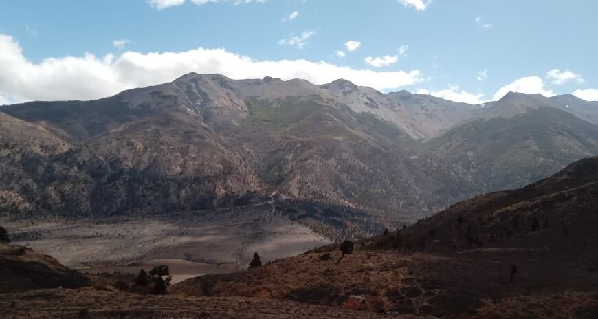 Tras varios días de arduos operativos, se controlaron incendios forestales en la cordillera