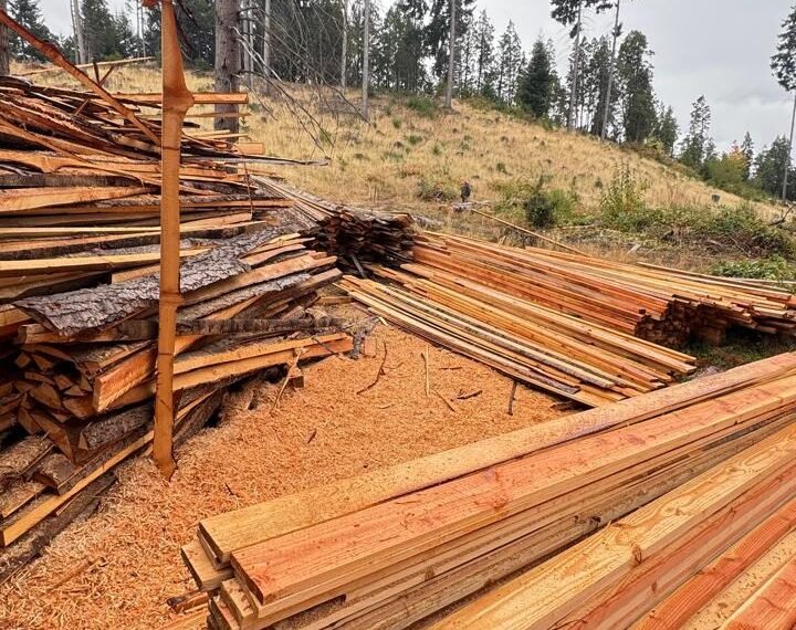 La Policía del Chubut desmanteló una industria maderera ilegal en Lago Puelo
