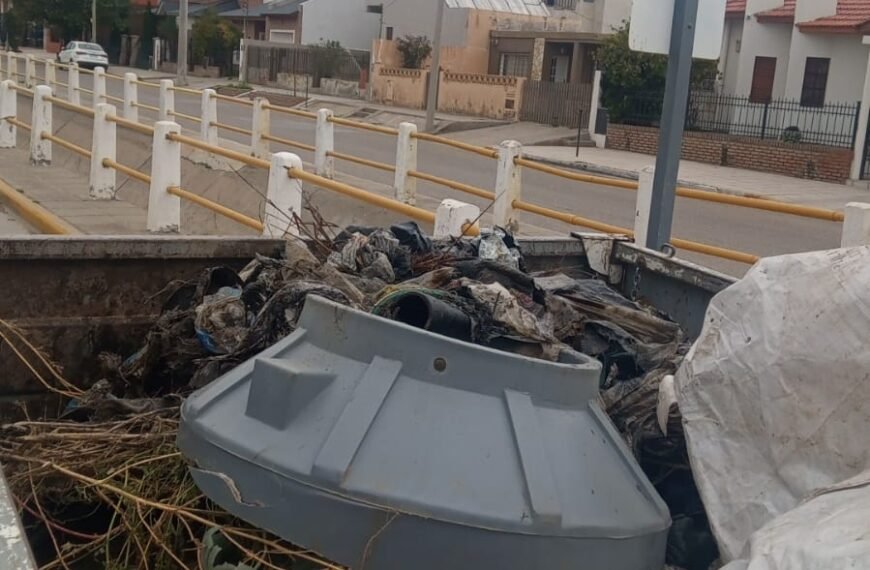 «La gente no toma conciencia y sigue arrojando residuos a los pluviales»