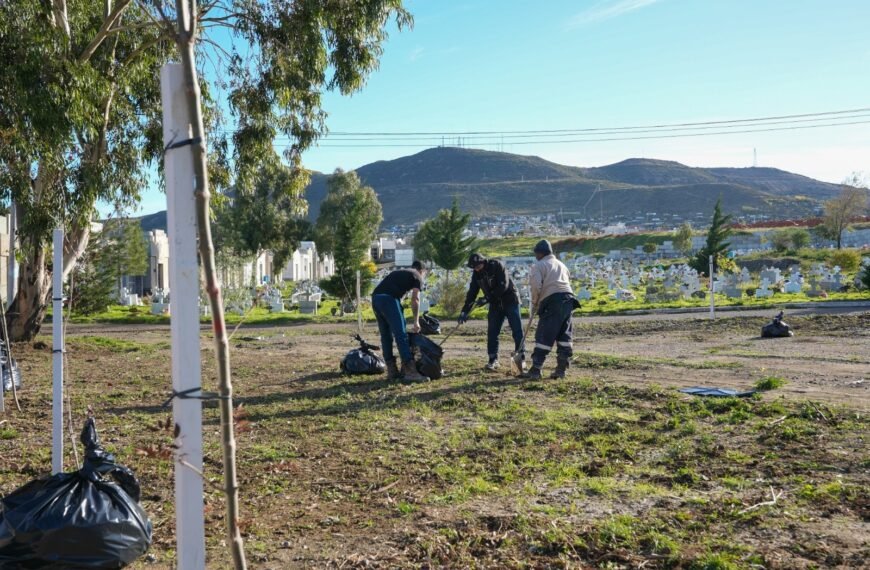 Se avanza con tareas de mantenimiento en el Cementerio Oeste y en las distintas plazas de Comodoro