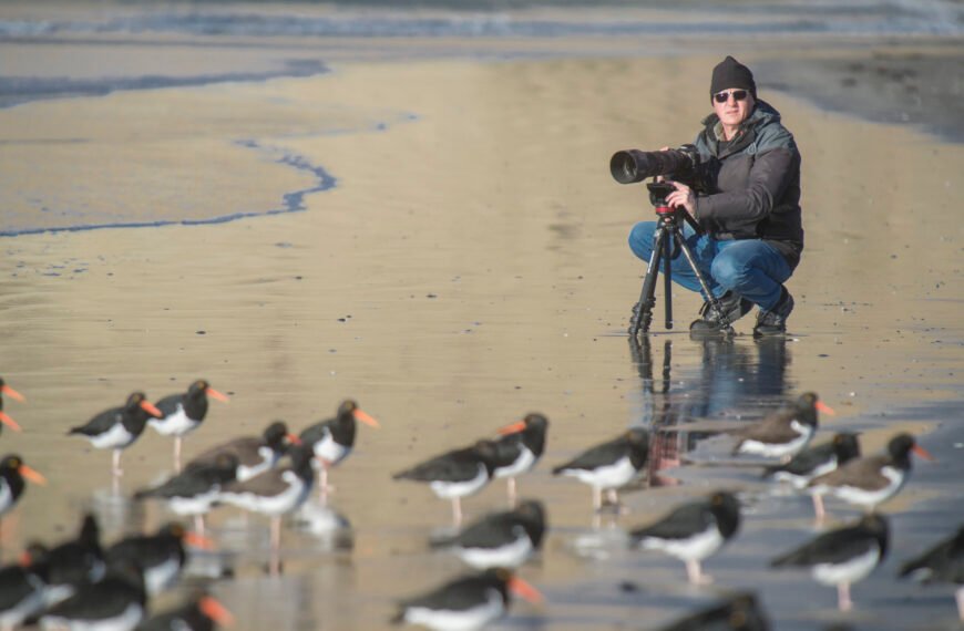 Naturaleza con lente experta: Gabriel Rojo de visita en Rada Tilly