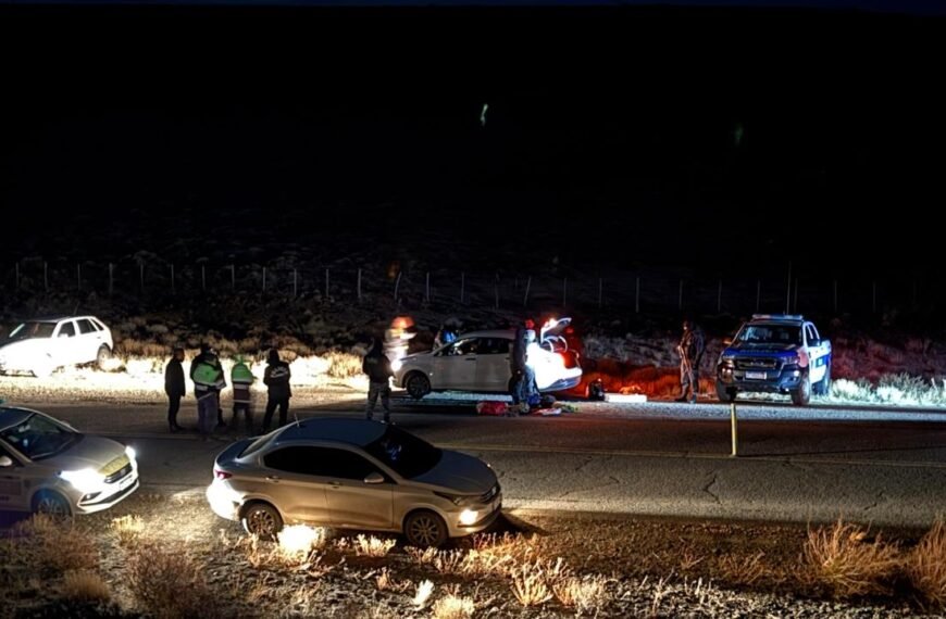 En un importante operativo en Tecka, la Policía desarticuló a una banda delictiva