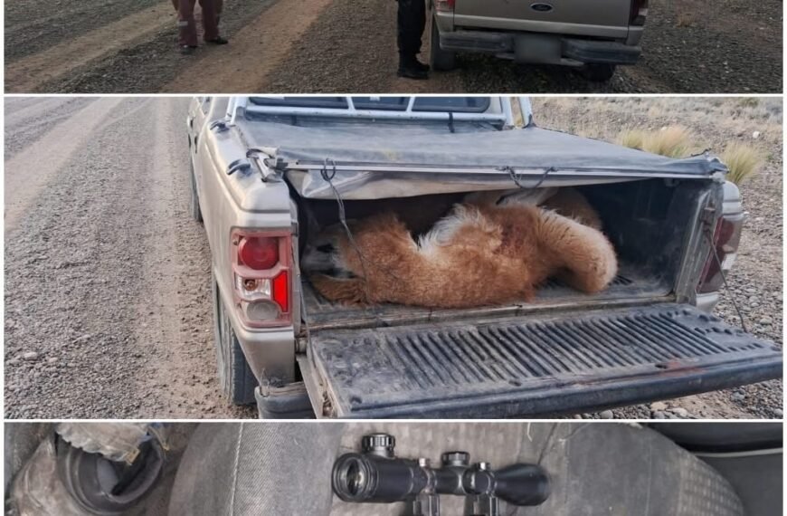 Cazaba guanacos y lo sorprendió un control policial