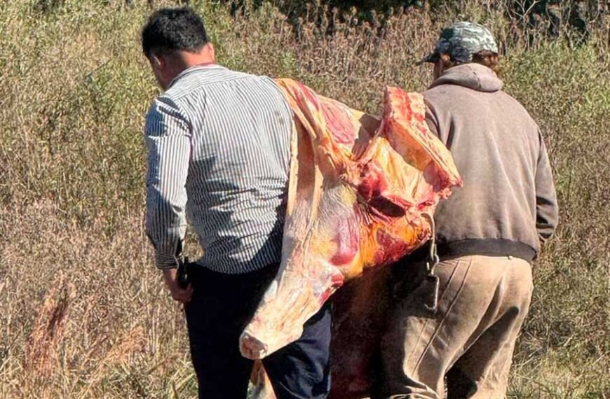Volcó un camión que trasladaba carne y lo saquearon