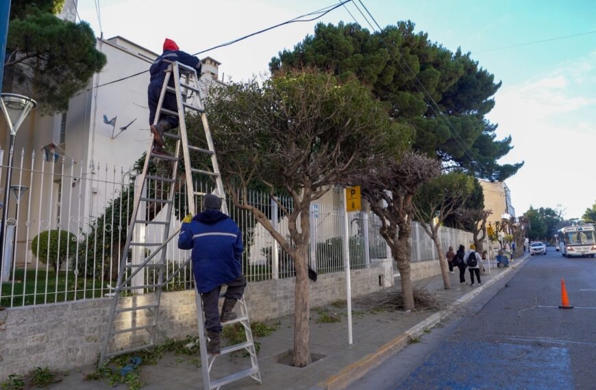 Comenzó el operativo de poda en distintos sectores de la ciudad