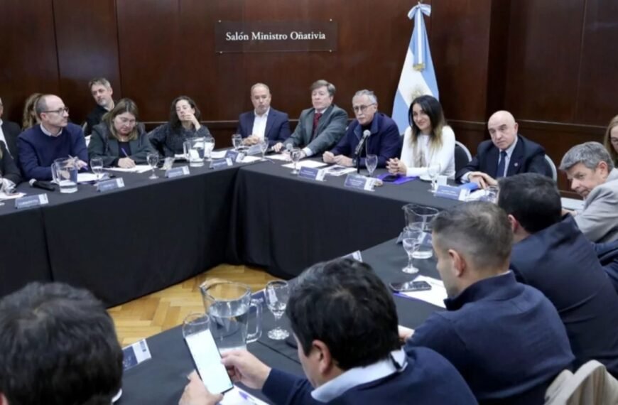 Chubut participó en el último encuentro del Consejo Federal de Salud
