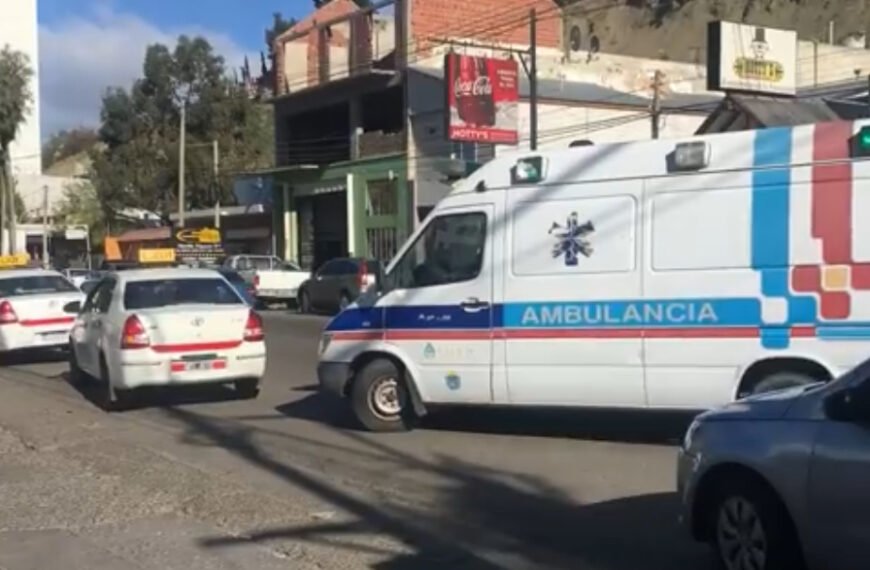 Desde el CUCAI Chubut manifestaron que no se realizó ningún operativo de ablación