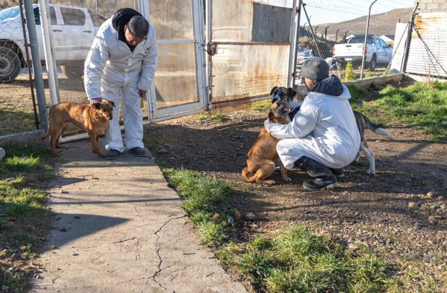 El Municipio fortalece el trabajo con la Fiscalía y organizaciones proteccionistas de animales