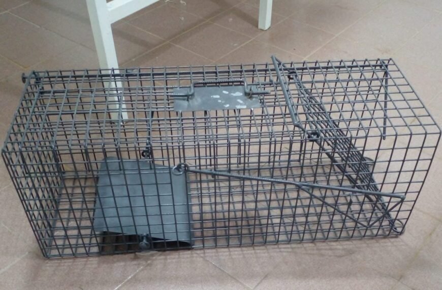 Jaulas trampas para reforzar el control canino y felino asilvestrado