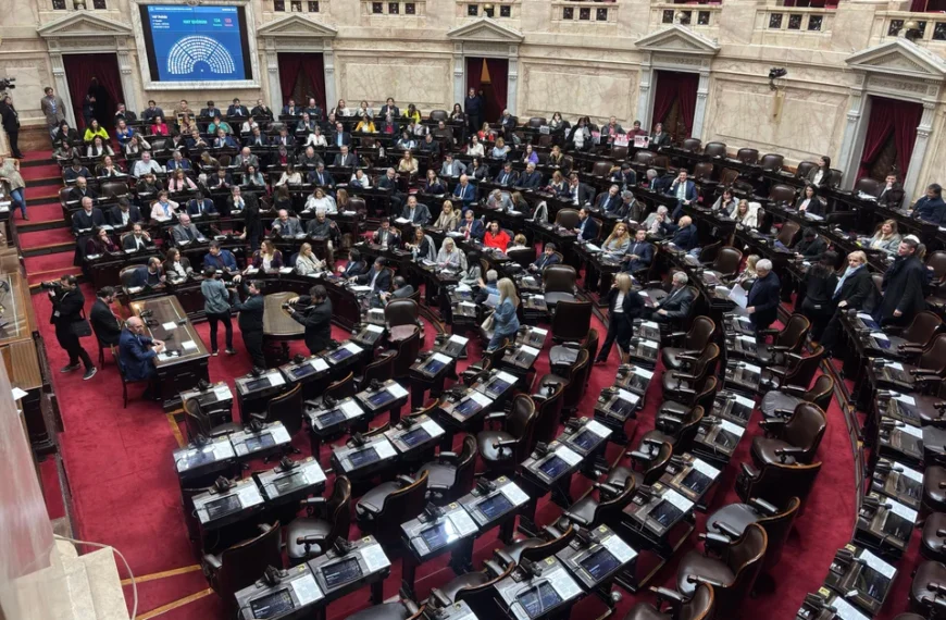 Diputados dio media sanción al proyecto de ley de Emergencia del Garrahan