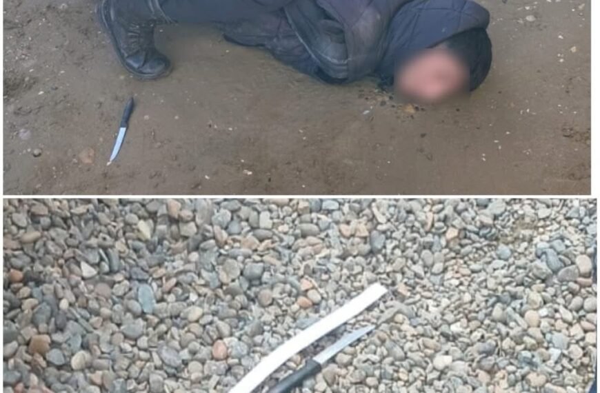 Ingresó a un domicilio y amenazó al dueño con un cuchillo