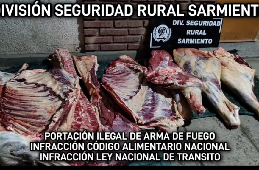 Incautan carne y armas en un control rutero