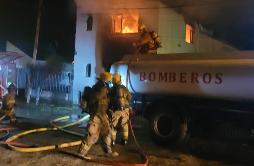Perros provocaron un incendio en una vivienda