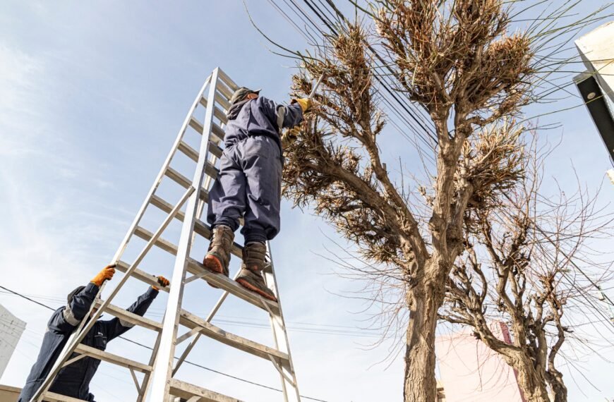 Se intensificaron los trabajos de poda durante el fin de semana en distintos barrios de la ciudad