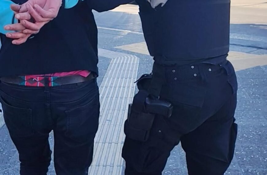 Forzó la puerta de un auto y robó una billetera: Fue detenido en el estacionamiento de la escuela 83