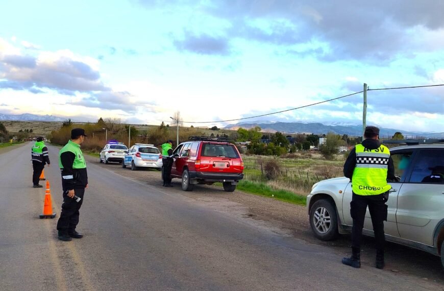 Controlaron cerca de 8.000 vehículos y detectaron a 75 conductores alcoholizados