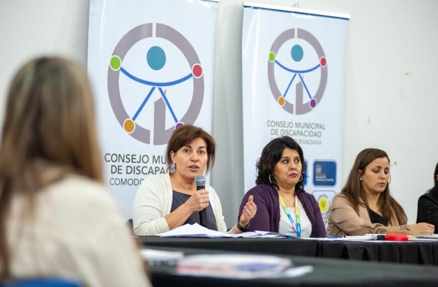 Ana Clara Romero participó de la Asamblea del Consejo de Discapacidad y expuso su trabajo realizado en Diputados
