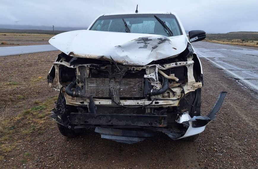Circulaba por ruta 3 y chocó contra un guanaco